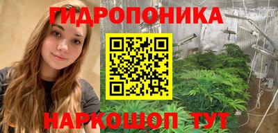 прущие крисы Аргун