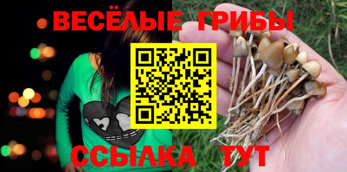 Балашиха  Псилоцибиновые грибы GOLDEN TEACHER  Вход с VPN 