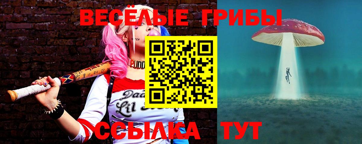 Балашиха  Alpha PVP СК   Вход с VPN  Каннабис  COCAIN  Гашиш  ГАШ  Марихуана  МЕФ  