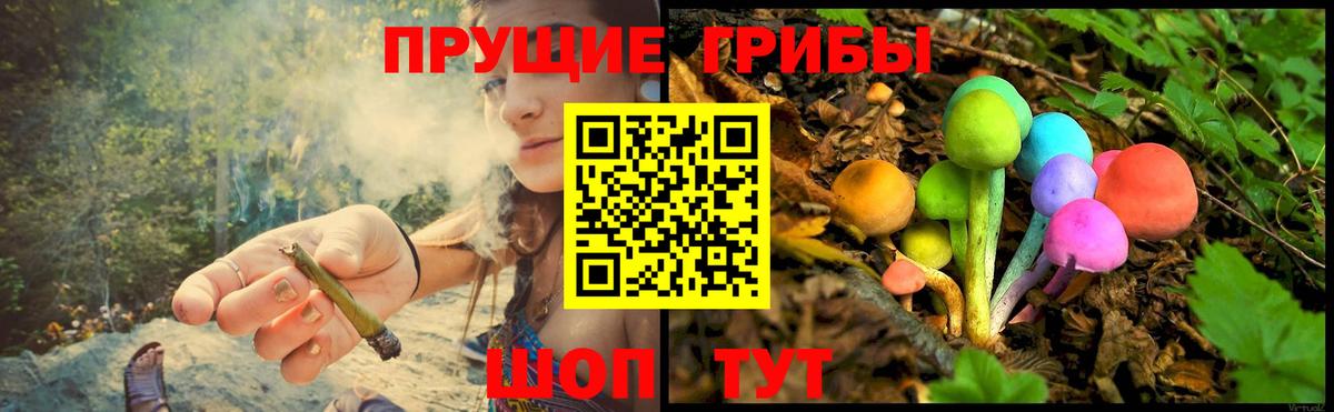 Галлюциногенные грибы MAGIC MUSHROOMS Балашиха